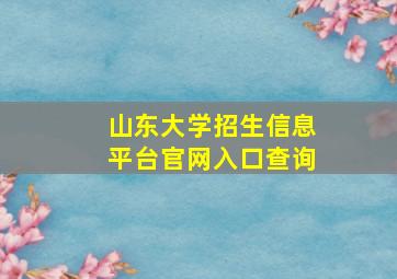 山东大学招生信息平台官网入口查询