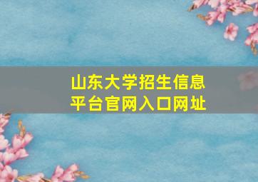 山东大学招生信息平台官网入口网址