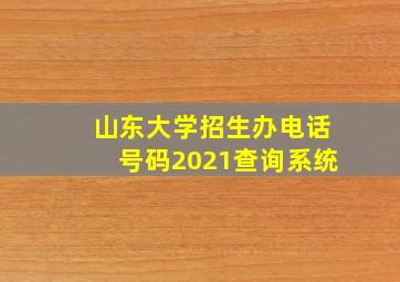 山东大学招生办电话号码2021查询系统