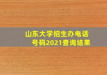 山东大学招生办电话号码2021查询结果