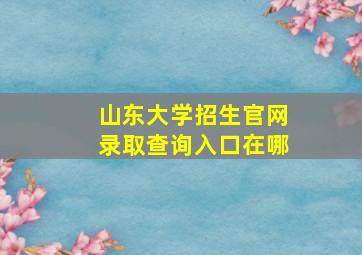 山东大学招生官网录取查询入口在哪