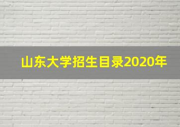 山东大学招生目录2020年