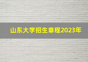 山东大学招生章程2023年