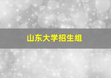 山东大学招生组