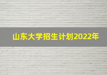 山东大学招生计划2022年