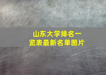 山东大学排名一览表最新名单图片