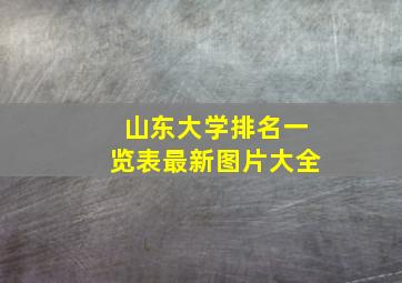 山东大学排名一览表最新图片大全