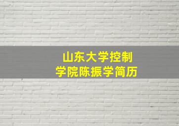 山东大学控制学院陈振学简历