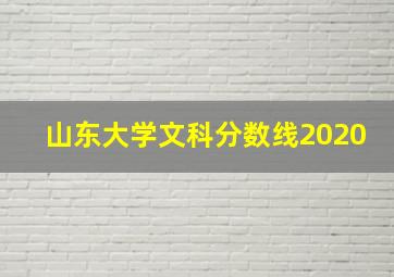 山东大学文科分数线2020