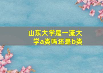 山东大学是一流大学a类吗还是b类