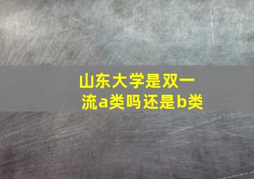 山东大学是双一流a类吗还是b类