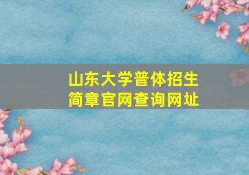 山东大学普体招生简章官网查询网址