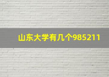 山东大学有几个985211