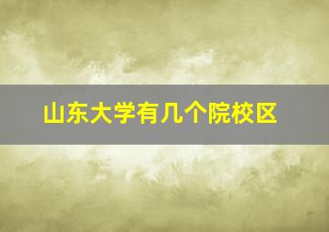 山东大学有几个院校区