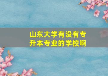 山东大学有没有专升本专业的学校啊