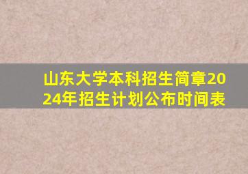 山东大学本科招生简章2024年招生计划公布时间表