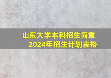 山东大学本科招生简章2024年招生计划表格