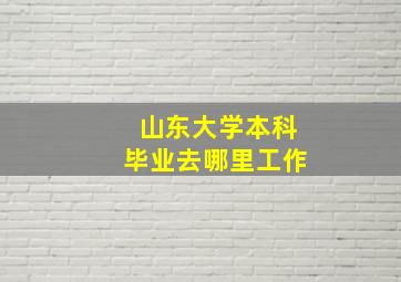 山东大学本科毕业去哪里工作