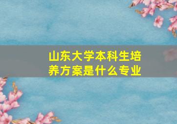 山东大学本科生培养方案是什么专业