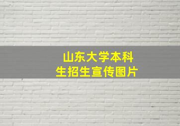 山东大学本科生招生宣传图片