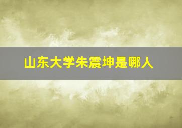 山东大学朱震坤是哪人