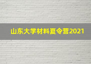 山东大学材料夏令营2021