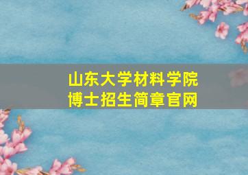 山东大学材料学院博士招生简章官网