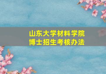 山东大学材料学院博士招生考核办法