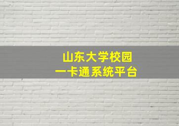 山东大学校园一卡通系统平台