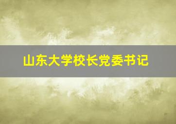 山东大学校长党委书记