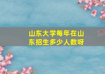 山东大学每年在山东招生多少人数呀