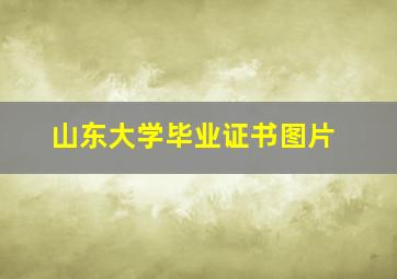 山东大学毕业证书图片