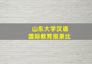 山东大学汉语国际教育报录比