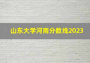 山东大学河南分数线2023