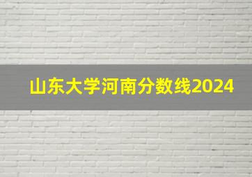 山东大学河南分数线2024