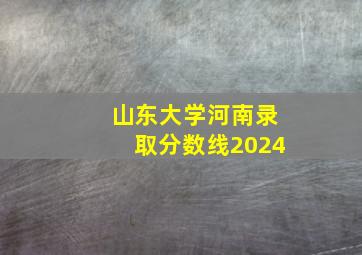 山东大学河南录取分数线2024