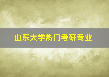 山东大学热门考研专业