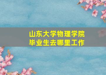 山东大学物理学院毕业生去哪里工作