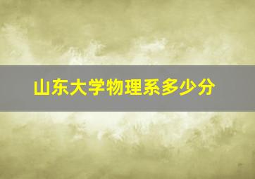 山东大学物理系多少分