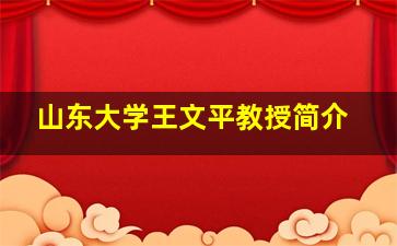 山东大学王文平教授简介