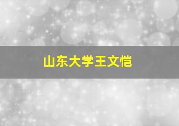 山东大学王文恺