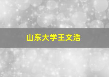 山东大学王文浩