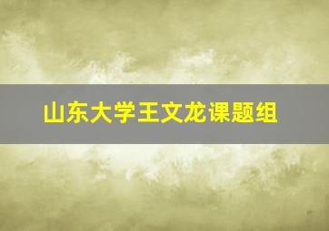 山东大学王文龙课题组