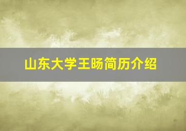 山东大学王旸简历介绍