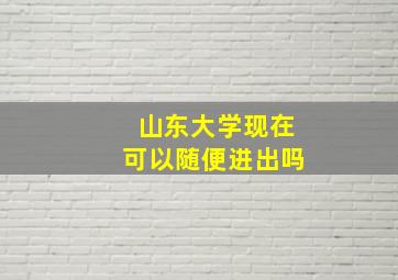 山东大学现在可以随便进出吗