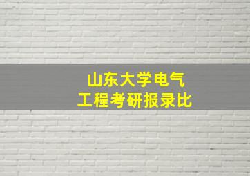 山东大学电气工程考研报录比