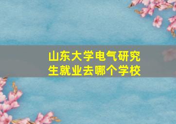 山东大学电气研究生就业去哪个学校