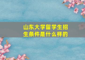 山东大学留学生招生条件是什么样的