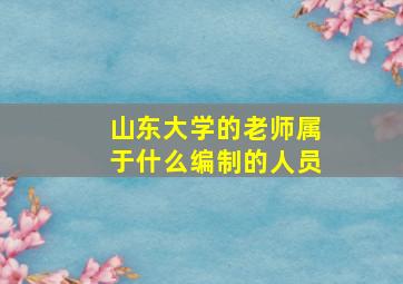 山东大学的老师属于什么编制的人员