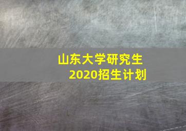 山东大学研究生2020招生计划